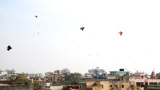 Makar Sankranti (Kite Flying Festival) Jaipur Rajasthan