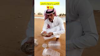 الثعابين وانواعها بالسعودية واخطرها