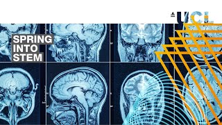 Next generation X-ray vision: the advent of multi-contrast x-ray imaging techniques