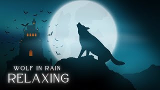 Wolf Sounds in Rain {  BEAT INSOMNIA }  Wolves Howling Sound Effects Relaxing Music #wolf #howling