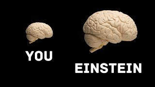 What Made Albert Einstein A GENIUS? 🧠