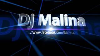 Dj Malina - Festyn Rodzinny w Brzemionach 17.06