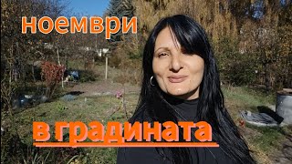 В градината през ноември. Как са лехите с домати!? Какво расте в късната есен под агрила🤩🍀🥗