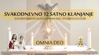 SVAKODNEVNO 12 satno klanjanje euharistijskom Isusu s OMNIA DEO, za Crkvu, za duše