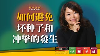 如何避免坏种子和冲击的发生 | Chantel Ng【SeedWisdom® 种子法则®】