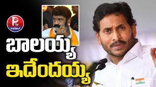 బాలయ్య..? ఇదేందయ్యా..? | YS Jagan Mohan Reddy Serious On Balakrishna For Post In Social Media | P TV