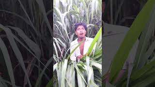 Mai Hu Chutiya 😂||#comedy #funny #youtubeshorts #trending ||Rk_Official