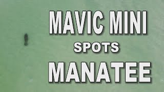 Mavic Mini Spots Manatee