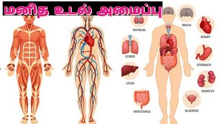 மனித உடல் அமைப்பு | HUMAN BODY SYSTEM | TRENDING FACTS | 6 PM RANDOM FACTS