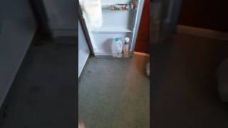 MILK BOTTLE FLIP INTO FRIDGE!!