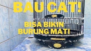 CARA MENGHILANGKAN BAU CAT PADA SANGKAR BURUNG