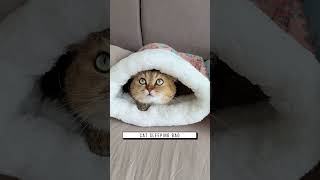 Cat sleeping bag, Link is on bio or copy:www.niopets.com