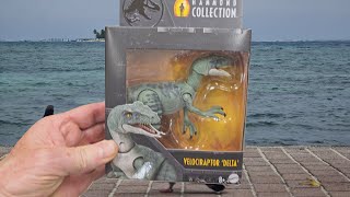 🦖 Jurassic World Hammond Collection Delta Velociraptor Action Figure 🦕