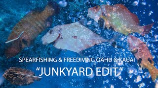 SPEARFISHING Oahu & Kauai, HAWAII (Tako + Fish Action)