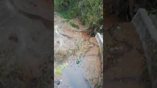 sungai yang terkena dampak pembuangan limbah pasir #limbah #sungai #madiun #dolopo #viralvideo