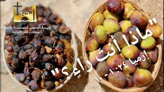 الاجتماع العام | "ماذا أنتَ راءٍ؟"