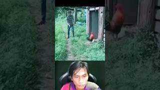 CERITANYA MAU NGUSIR AYAM TAPI ENDINGNYA #shorts #short #shortvideo #youtubeshorts #trending  #viral