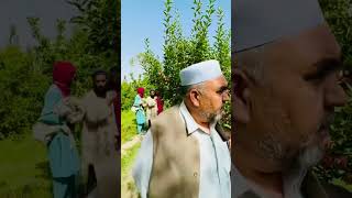 Village life Apples gardens #shorts #viral #fyp #amazing #appletree