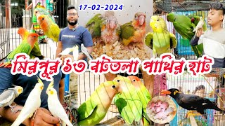 মিরপুর ১৩ পাখির হাট | bottola pakhir hat | কথা বলা সব পাখি | ajker hat mirpur 13 | পাখি পাগলা?