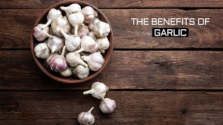 Benefits of Garlic