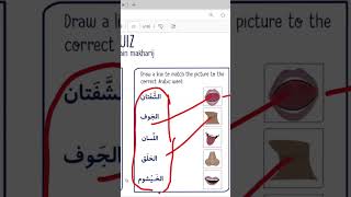 #tajweed #qurantilawat #rules #learnquaran #online #islamicvideo #short #shortvideo