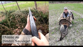 Chasse au Dindon Sauvage, les hauts et les bas! - Turkey Hunt