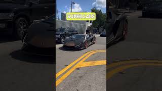 The best car show I’ve ever been too! #supercars #lamborghini #veneno #roadster #pov