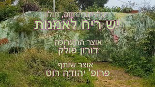 יש ריח לאמנות