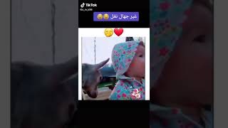 شوف هذا الطفل يخبل يمه فديته ❤😍