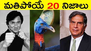 Top 20 Facts In Telugu | Amazing & Unknown Facts | Interesting Facts in Telugu | RAR Facts