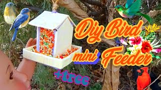 D.I.Y.mini BIRD FEEDER!🐦+TREE|Day 1 Spring Collab w/ HannahTheHoneyBear!💐