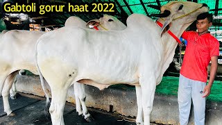 qurbani eid 2022: biggest indian bull cow gabtoli gorur hat 2022