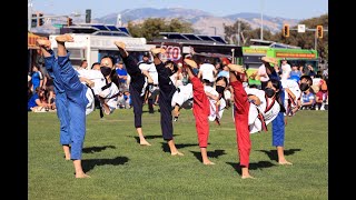 Team-M Taekwondo: San Jose Earthquakes Soccer - Performance