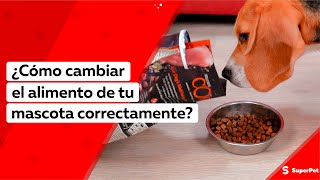 ¿Cómo cambiar el alimento de tu mascota correctamente?