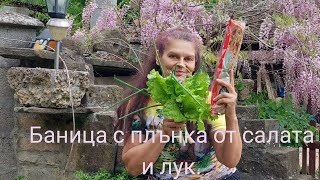 Баница с плънка от салата и лук.