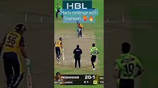 Haris va Shaheen #cricket #ipl #cricketlover