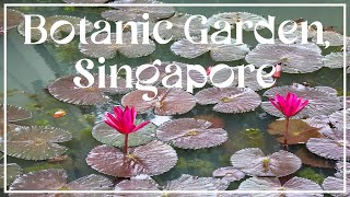 Botanic Garden, Singapore