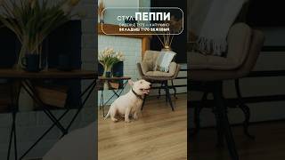 Стул-полукресло Пеппи #столыстульялофт #дизайнинтерьера #купитьстулья #кубика #мягкиестулья #стулья