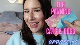 It's Panning Cats and Dogs Project Pan Update #5 |Katiexobeauty