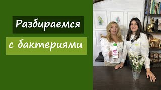 Разбираемся с бактериями. Интервью с создателем бренда Экодачник