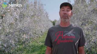 Washington farmer uses Semios to control codling moth in organic apples