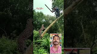 চিতাবাঘ দেখুন কি করলো লোকটার সাথে #tiger #shorts #funny #shortsvideo #shortsfeed