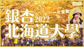 北海道大學銀杏散步💛2022速報！10月底一片金黃｜在學校內用餐 北大牛奶&餐點太好吃了吧！外加中島公園秋景及札幌如藝術品般的聖代店 Parfaiteria PaL｜北海道旅遊 4K VLOG