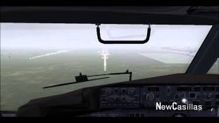 [FS2004] B739 landing at gimpo