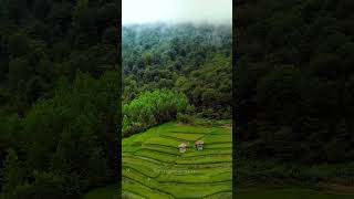 Beautiful #Iran, #Mazandaran is always green