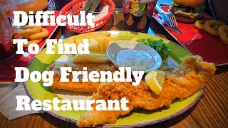 VLOG # 158 HOW DIFFICULT IT IS TO FIND A DOG FRIENDLY RESTAURANT? / PAPA PIGGY TV in the UK / #ofw