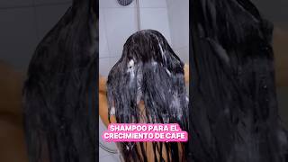 Shampoo crece pelo de café #beautyhacks #trucosdebelleza #cabellolargo #cabello #shampoo #belleza