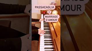 PASSACAGLIA x MARRIAGE D’AMOUR #piano #passacaglia #beautifulmusic #pianomusic #music #relaxingmusic