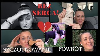 POWRÓT..🤗 HISTORIA PSIAKÓW..🐶SZCZOTKOWANIE TWARZY 😱🙌 @AnetawIrlandii🍀