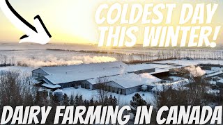 EXTREME Arctic Cold Front Hits Our Farm! 🥶🥶